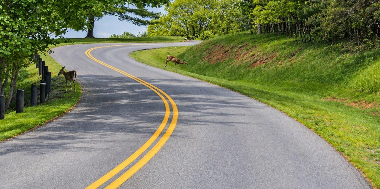 God's guidance on the winding road of life